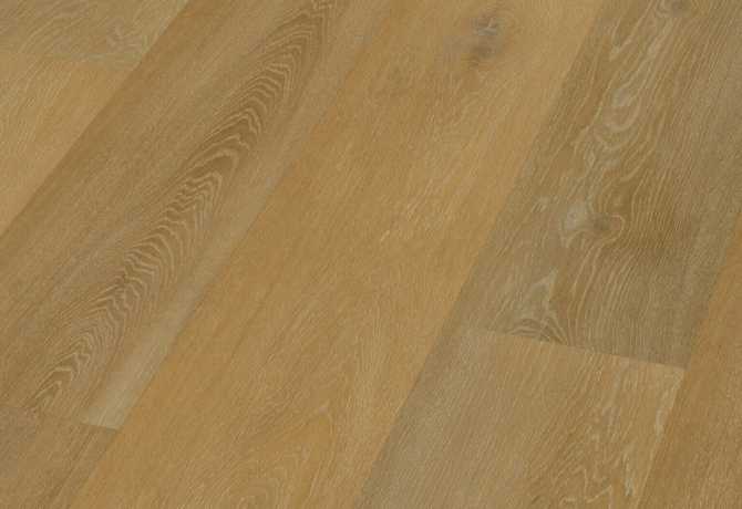 Oak marselan